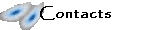Contact Information